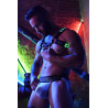 Breedwell Harnais lumineux RAVE BULLDOG Breedwell